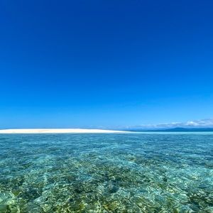 Meet your Posher, Alice